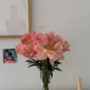 Meet your Posher, Alexa